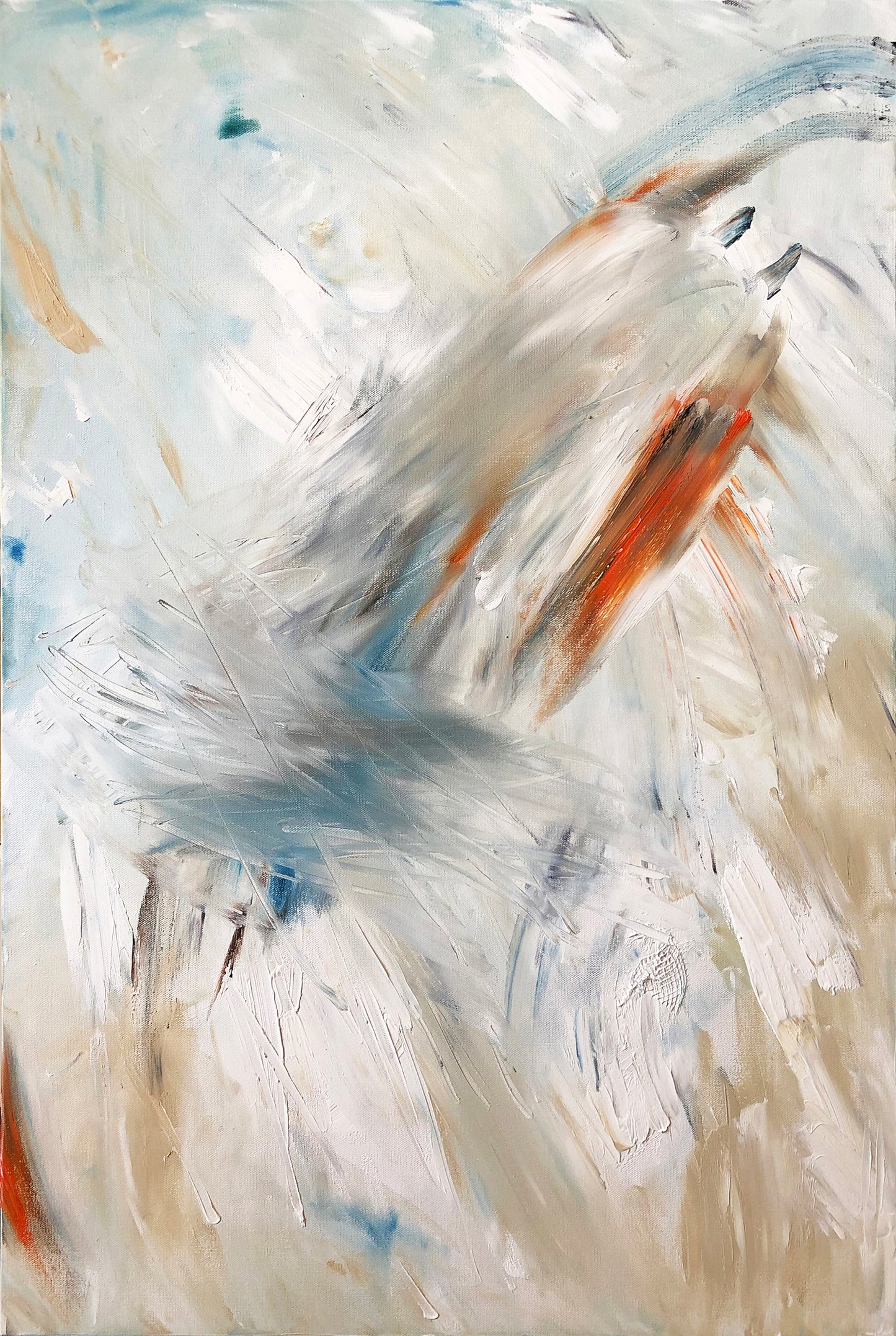 Koi